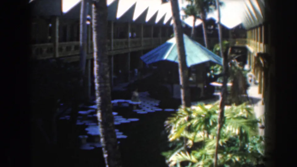 1961 Nassau courtyard view with palm trunks, a green patio umbrella, tropical plants, lily pads, and a white building.