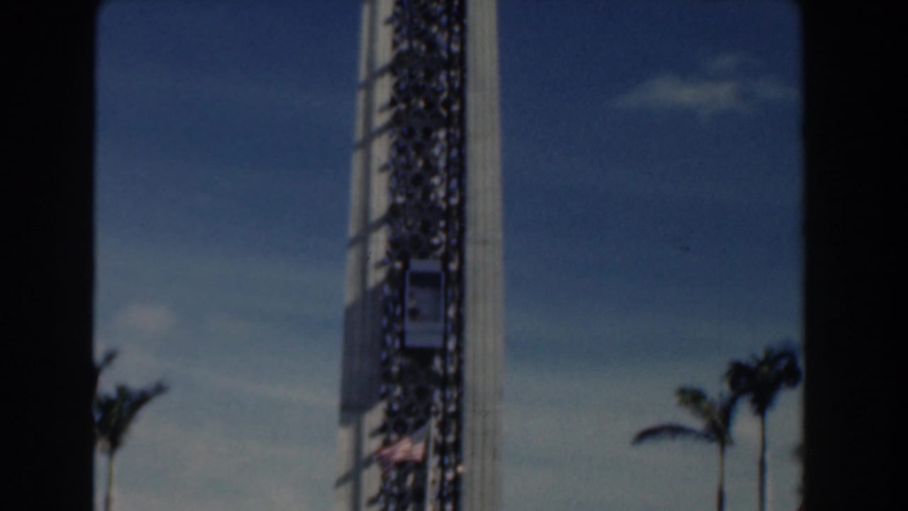 Tall harbor tower beside palm trees under a blue sky.