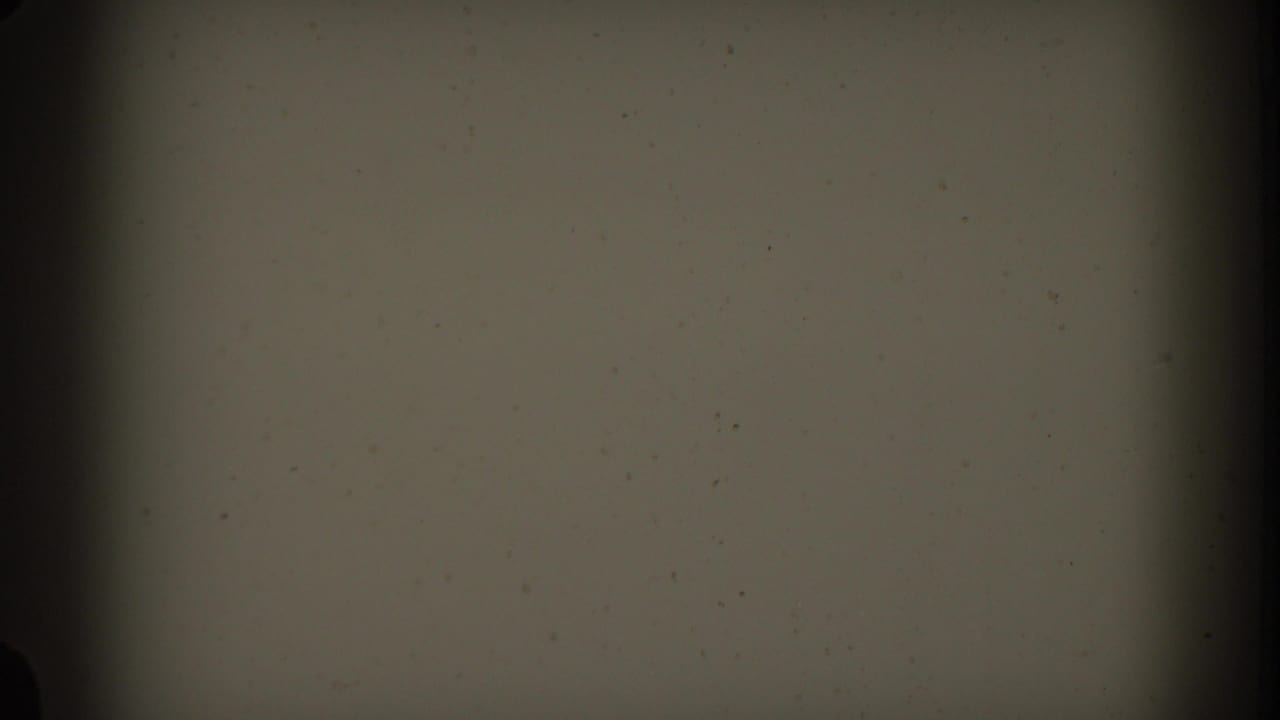 Blank 8mm-style starting frame from the 1961 Nassau reel, showing a pale gray field, edge darkening, grain, and speckling.
