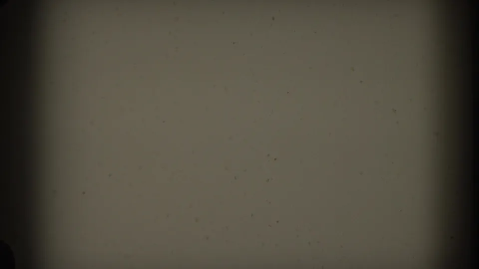 Blank 8mm-style starting frame from the 1961 Nassau reel, showing a pale gray field, edge darkening, grain, and speckling.