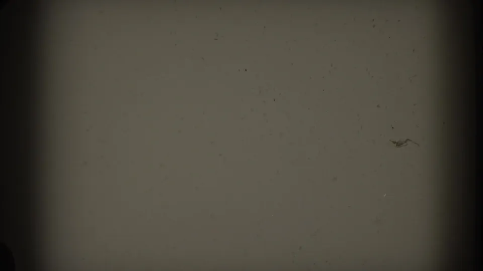 Pale blank frame from the 1961 Nassau home-movie reel, with darkened 8mm edges, mild grain, and tiny emulsion specks.