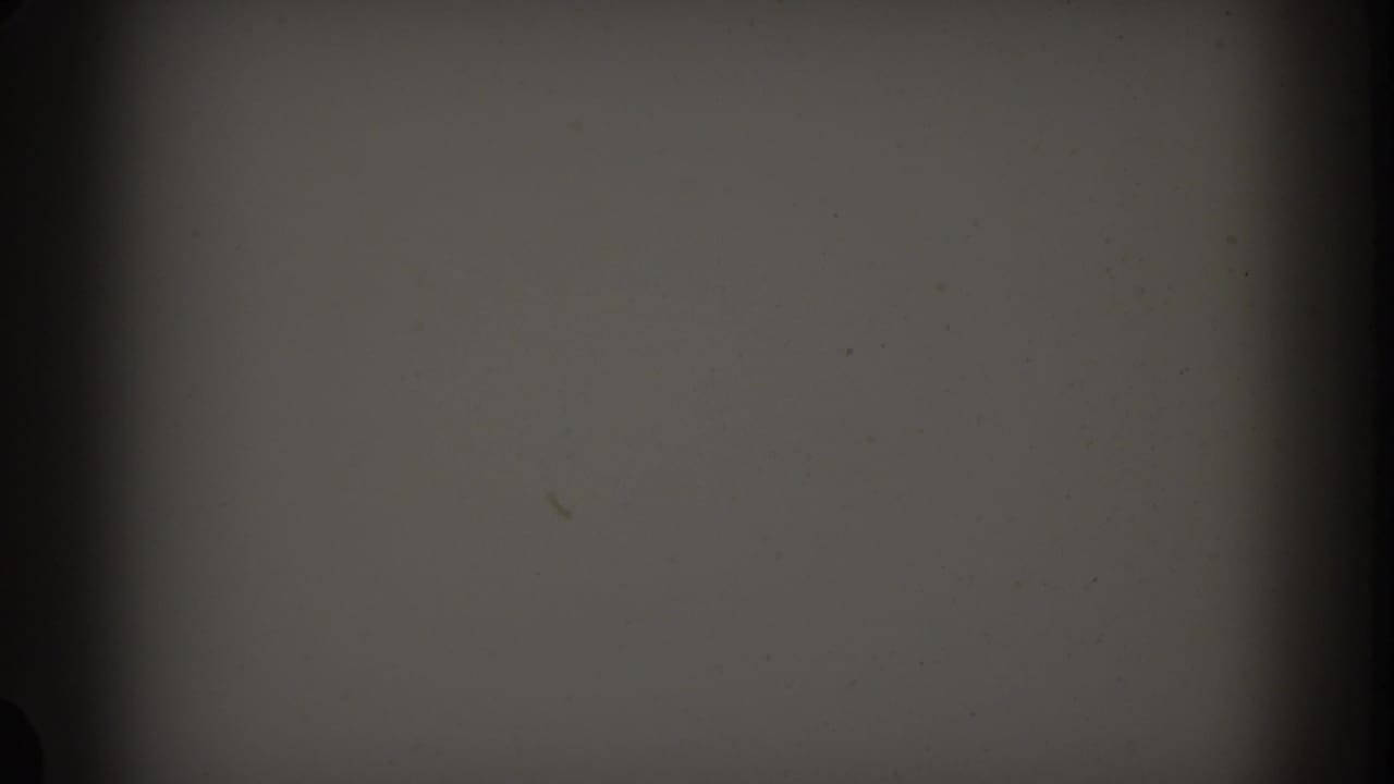 1961 Nassau 8mm frame partly obscured by a dark window or camera edge, showing tree trunks and pale sky outside.