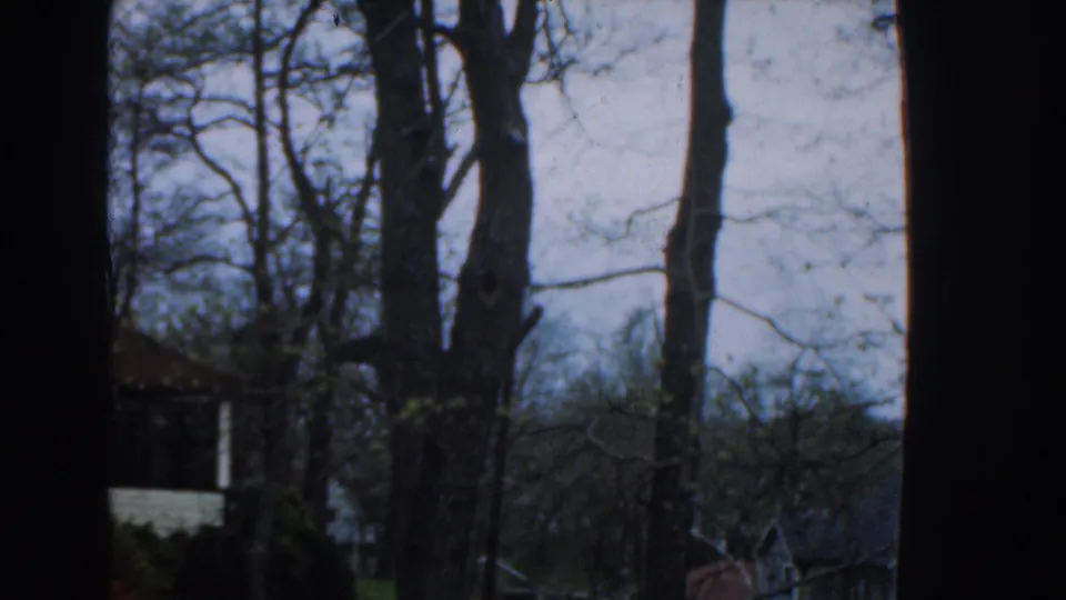 1961 Nassau 8mm frame showing a wooded view with tall trunks, thin branches, pale sky, and a partly visible structure.