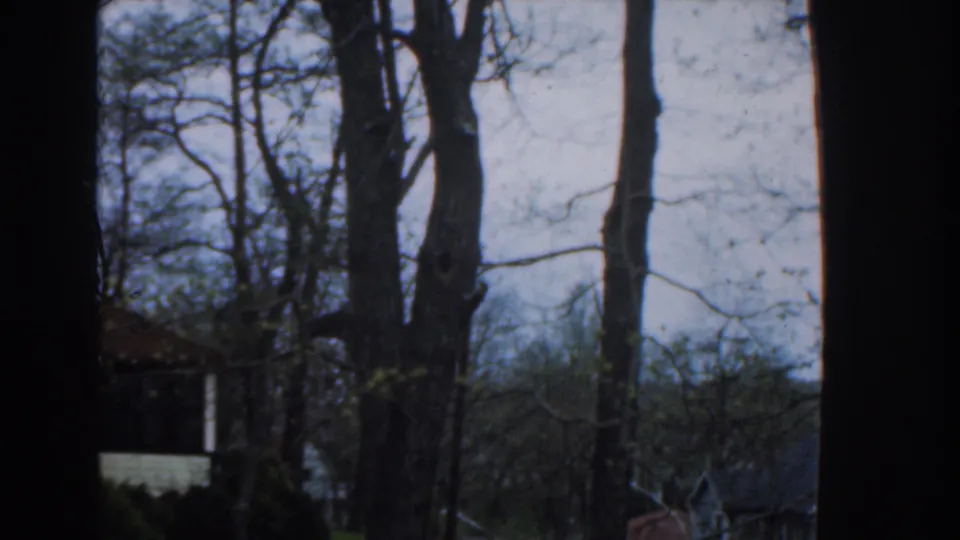 1961 Nassau home-movie frame of trees and branches outside, bordered by dark film or window edges.