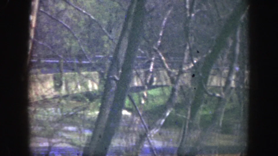 1949 Cincinnati woodland view with a small bridge over a creek, partly obscured by bare branches and soft focus.