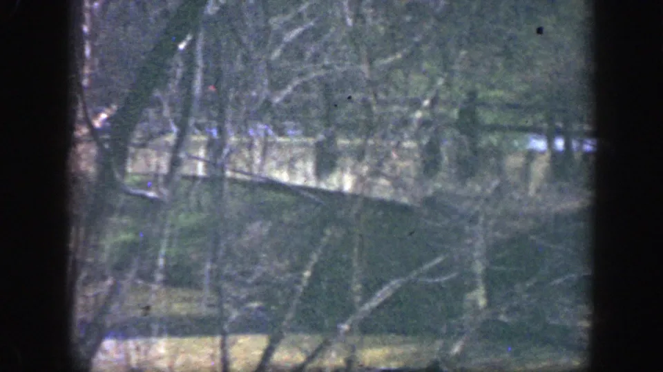 1949 Cincinnati 8mm frame of a creek beside a wooded bank, with tangled branches and muted spring color.