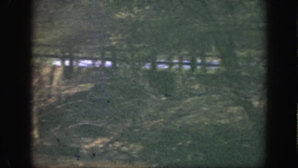 1949 Cincinnati home-movie view of shaded woods, leaf litter, and a pale creek line beyond the trunks.