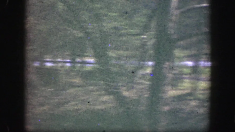 1949 Cincinnati-area home-movie frame looking through trees toward a distant paved road in soft daylight.