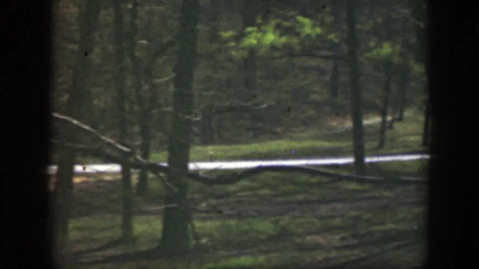 1949 Cincinnati-area frame showing a shaded forest foreground and a pale curving road beyond the trees.