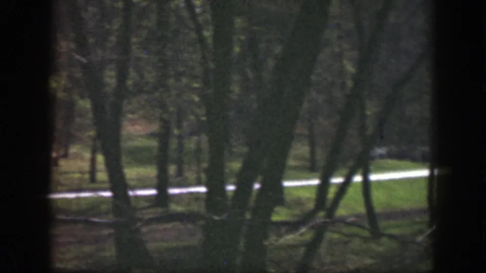 Late-frame 8mm view from 1949 Cincinnati-area footage, showing trees, shaded ground, and a bright road behind them.