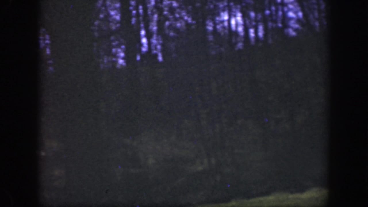 Dark wooded slope with tall tree silhouettes and heavy film-edge shadow.