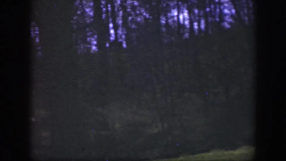 1949 Cincinnati-area home-movie frame showing a dim forest view with tree silhouettes, soft focus, and purple color shift.