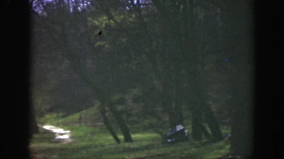 1949 Cincinnati-area home-movie frame showing a grassy clearing, leaning trees, a pale winding line, and a small parked vehicle.