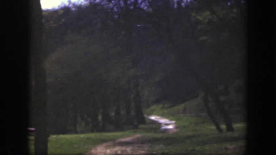 1949 Cincinnati-area 8mm frame showing a shaded woodland clearing with grass, tree trunks, and a pale winding path or streamlike line.