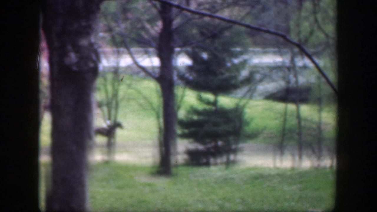 1949 Cincinnati-area 8mm frame showing a distant rider on horseback partly obscured by trees in a grassy wooded clearing.