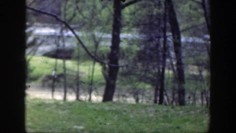 1949 Cincinnati-area home-movie frame with a small horse and rider crossing near trees and a pale path or stream edge.