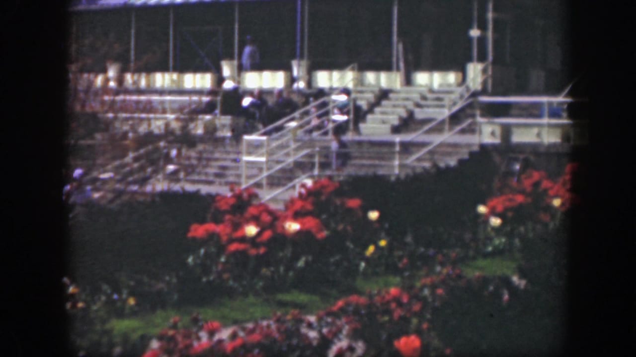 Landscaped red flowers below illuminated stairs and platforms with people in the distance.