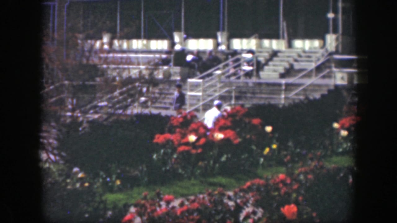 Distant people near red flowers below outdoor stairs and white railings.