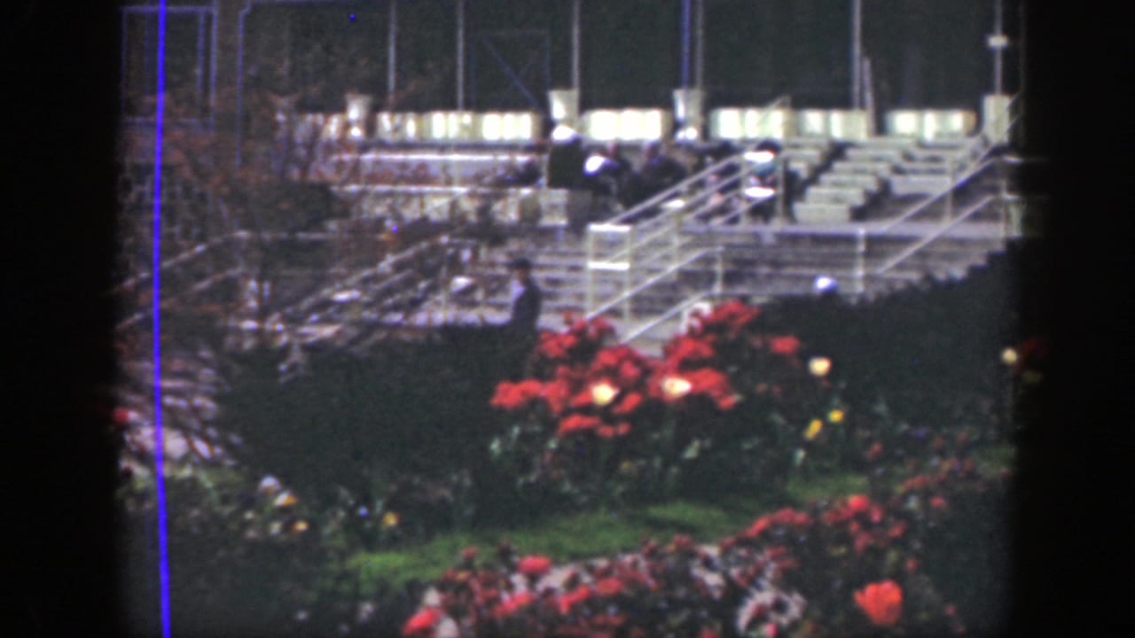 Flower beds, railings, and broad stairs with distant figures in a garden.