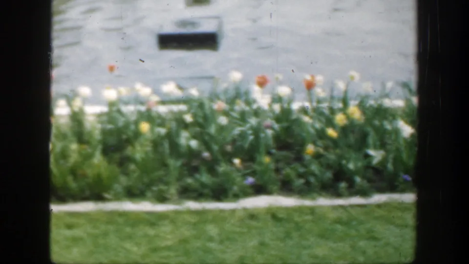 1949 Cincinnati garden view with tulips, lawn, curved border, pond water, and dark foreground frame edges.