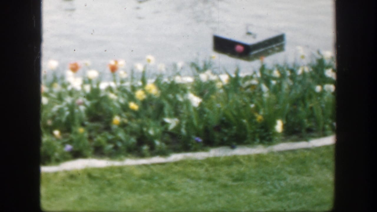 Flowerbed and pond with a dark rectangular floating object on the water.
