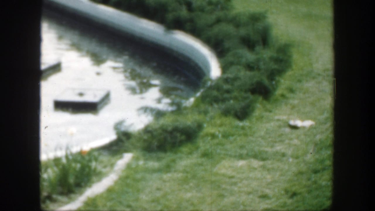 Curved reflection pool with gray stepping stones, shrubs, and lawn seen from above.