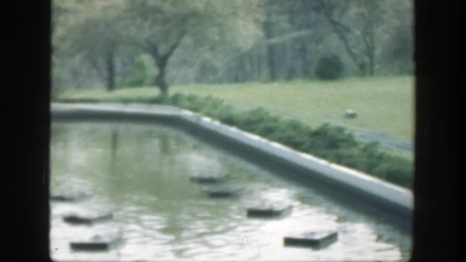 1949 Cincinnati view of a curved reflection pool with multiple stepping stones, shrubs, lawn, and trees in soft color 8mm footage.