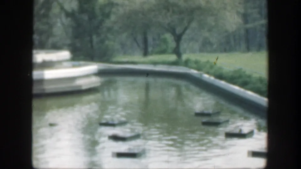 1949 Cincinnati garden pond view with floating platforms, low hedges, trees, and part of a tiered stone fountain.