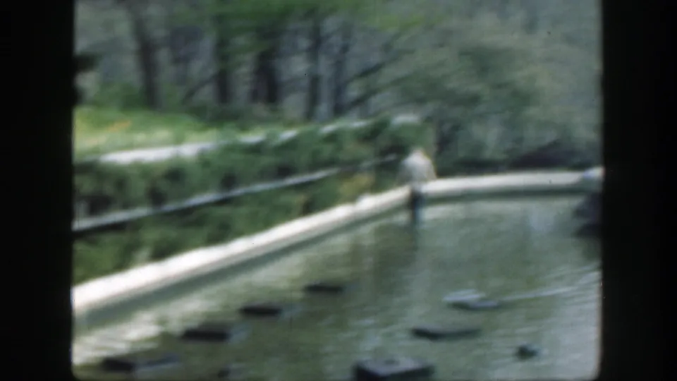 A man in a light-colored suit walks along the edge of a 1949 Cincinnati garden pond bordered by hedges and trees.
