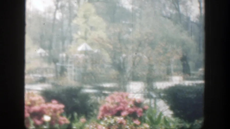 The final 1949 Cincinnati cemetery frame shows pink shrubs at lower edge, open lawn, trees, and pale grave markers in a hazy 8mm image.