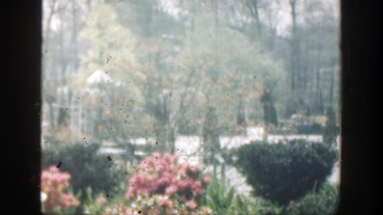 1949 8mm view in Cincinnati, Ohio, looking through window framing toward pink flower beds, shrubs, trees, and pale garden structures.