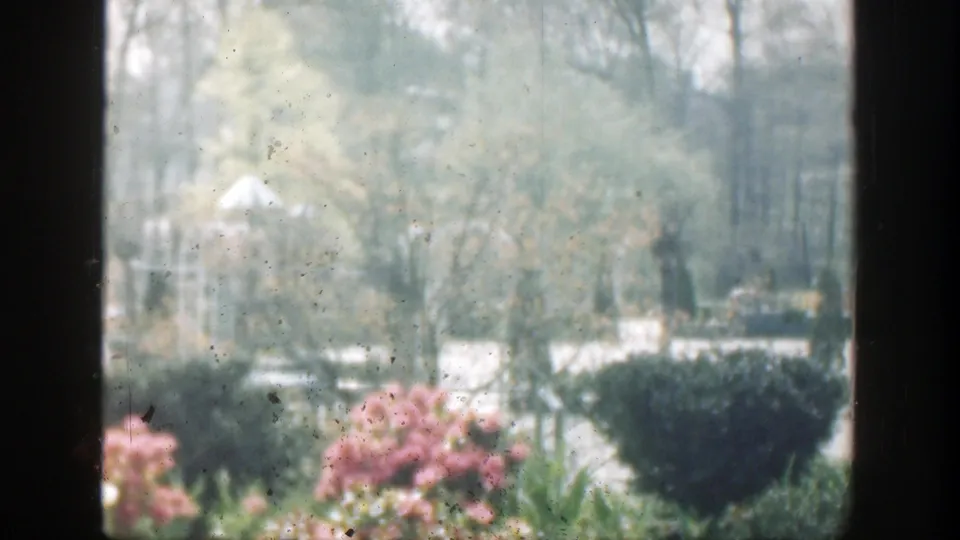 1949 8mm view in Cincinnati, Ohio, looking through window framing toward pink flower beds, shrubs, trees, and pale garden structures.
