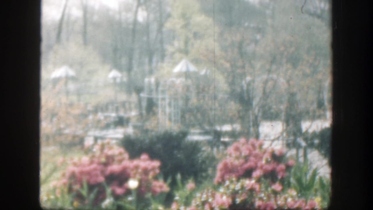 Window-framed garden with flowering shrubs, hedges, trees, and small white shelters in the distance.