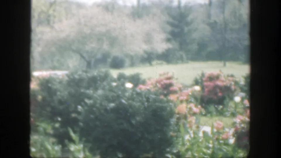 1949 home-movie still of a garden seen through a divided window, with leafy plants, pale blooms, lawn, and trees in soft focus.