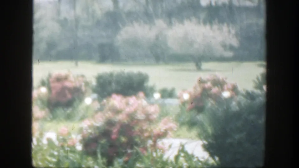1949 Cincinnati-area 8mm frame of landscaped flowering bushes, a light path, grass, and soft tree shapes in the distance.