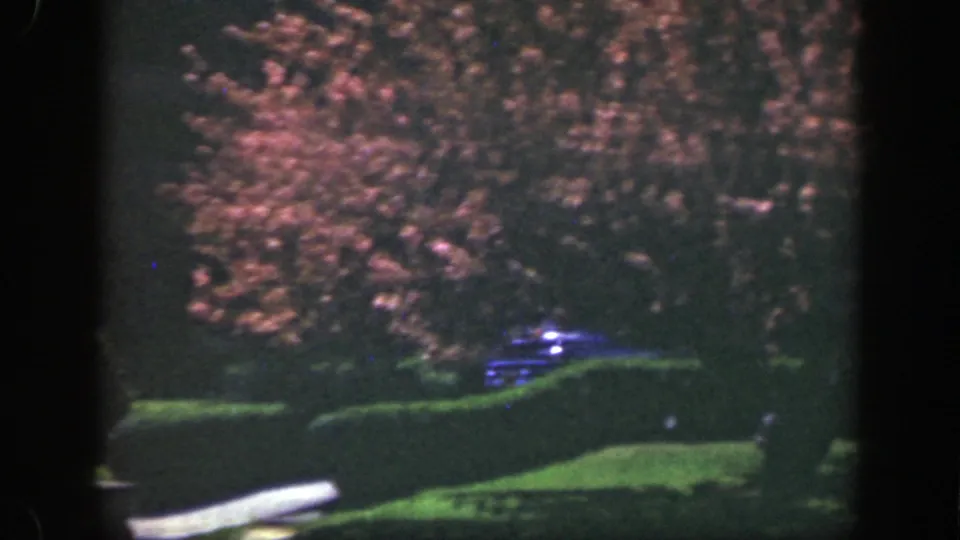 Evening view in the 1949 Cincinnati-area 8mm clip with flowering branches above hedges, green lawn, faint lights, and a possible car form.