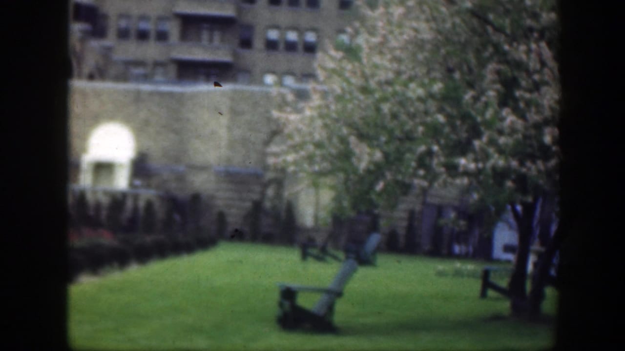 Green courtyard lawn with a chair, trees, hedges, and tan building entrances in the background.