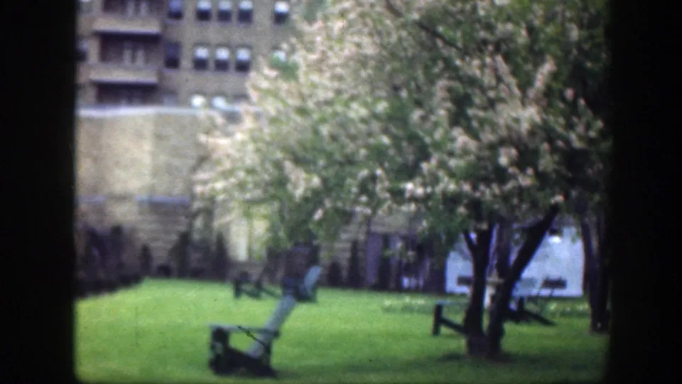 1949 Cincinnati home-movie frame of flowering trees, a green lawn, a wooden chair, and tan building walls beyond the courtyard.