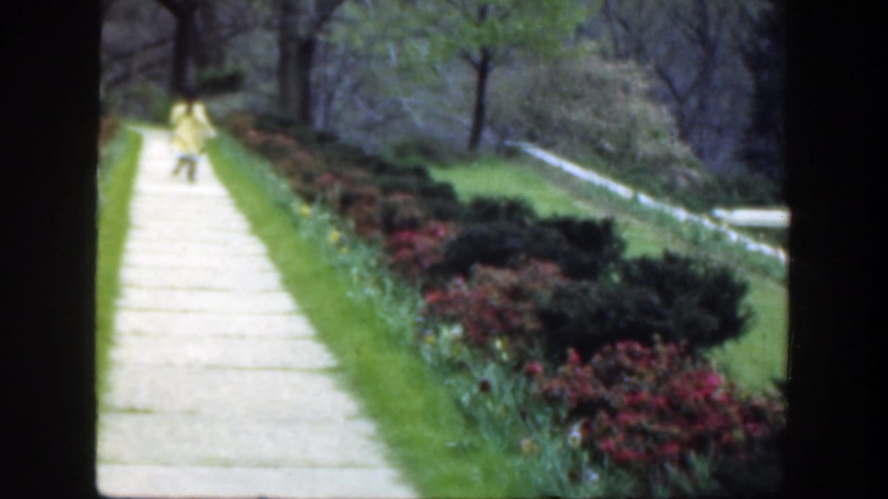 Distant person in yellow walking along a pale garden path bordered by lawns and flower beds.