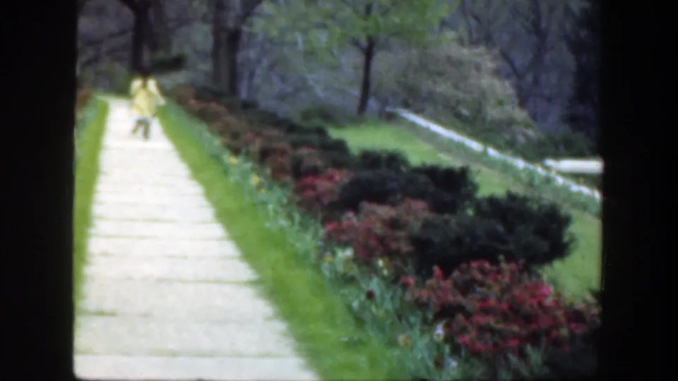 1949 Cincinnati-area home-movie frame showing a distant figure in yellow on a stone path through landscaped flower beds and grass.