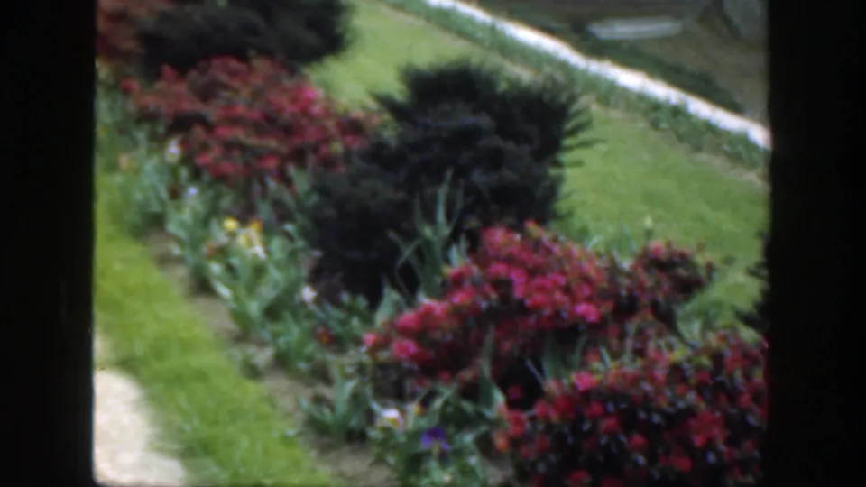 Soft 8mm frame from the Cincinnati-area garden, showing flower beds, shrubs, lawn, and a partial stone walkway.
