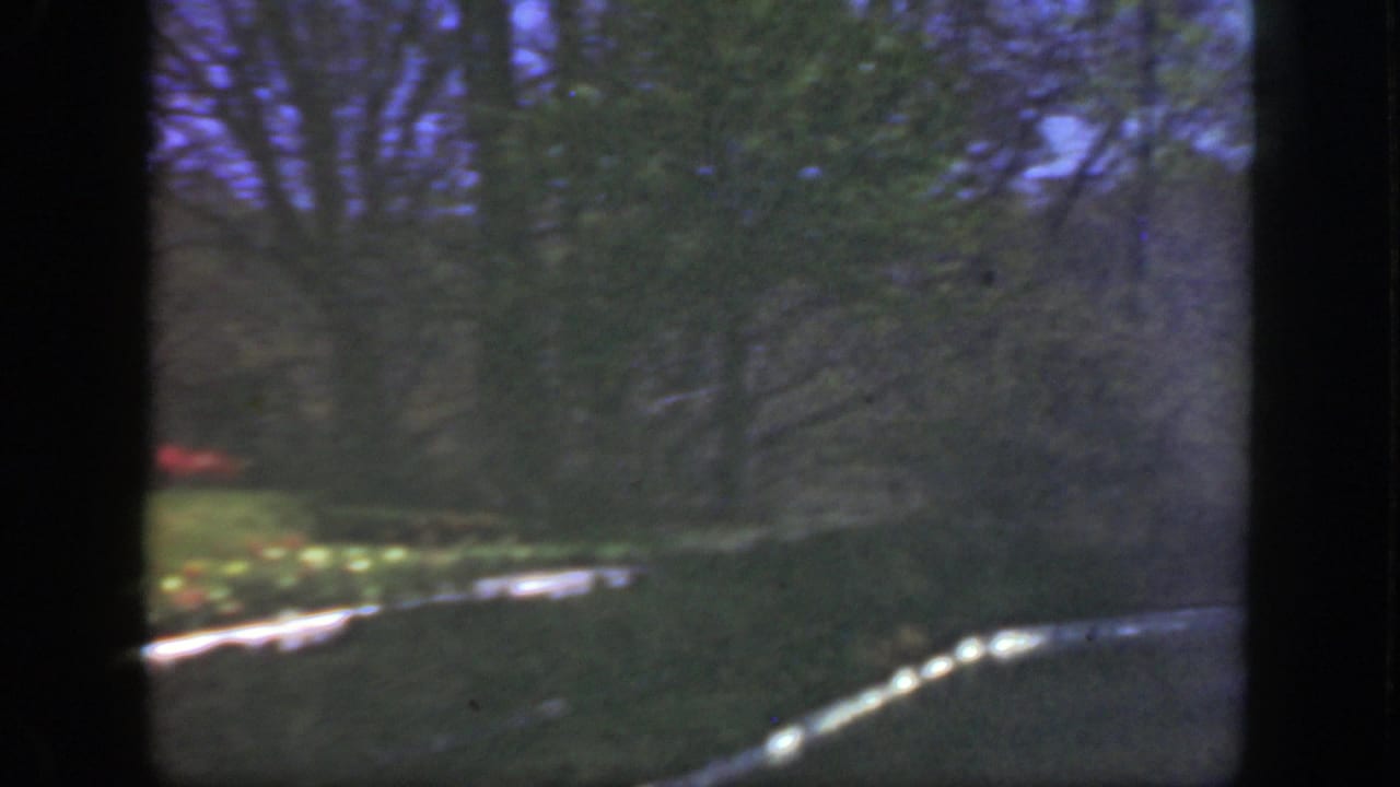 Park lawn and trees seen through dark 8mm frame edges with a pale curving line across the grass.