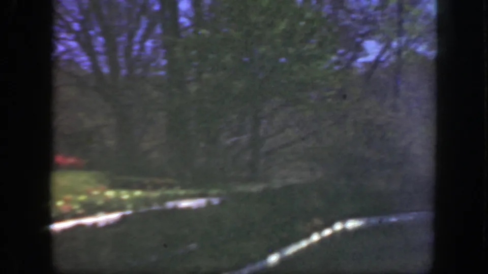 1949 Cincinnati park view from 8mm footage, showing trees, green lawn, and pale curving lines near the ground from a passing viewpoint.