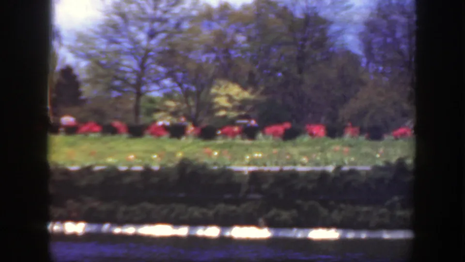 1949 Cincinnati 8mm frame showing trees, red garden beds, green lawn, low hedge, and bright water reflections.