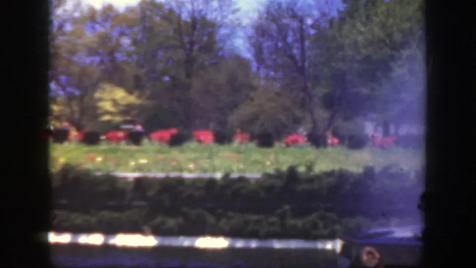 1949 Cincinnati home-movie still of a formal garden, red flowers, trees, reflective water, and visible film flare.