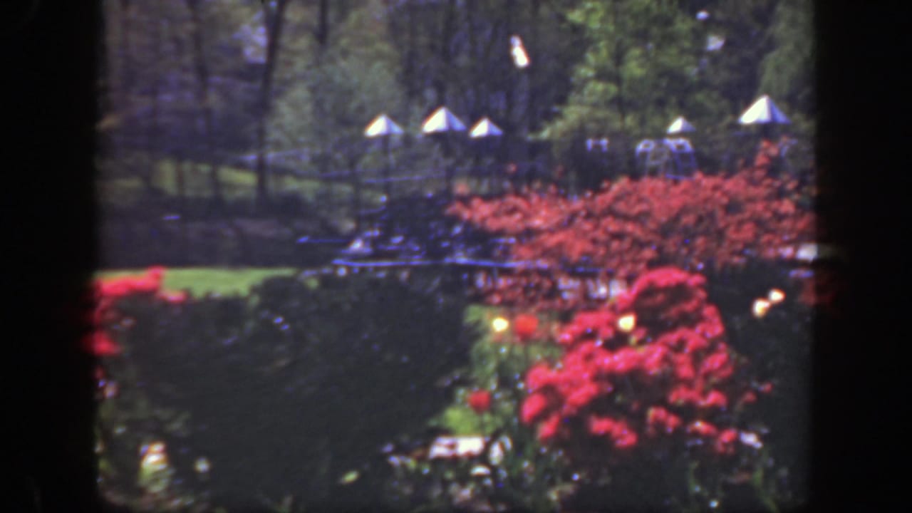 Garden shrubs and trees with white conical structures visible along the upper background.