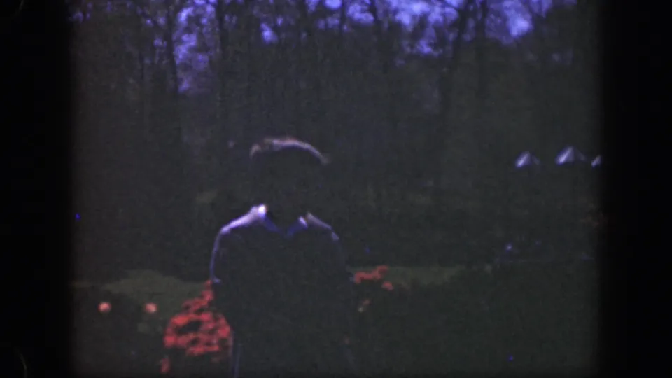 The final frame holds on the shadowed garden portrait, with the man centered against red flowers, lawn, and trees.