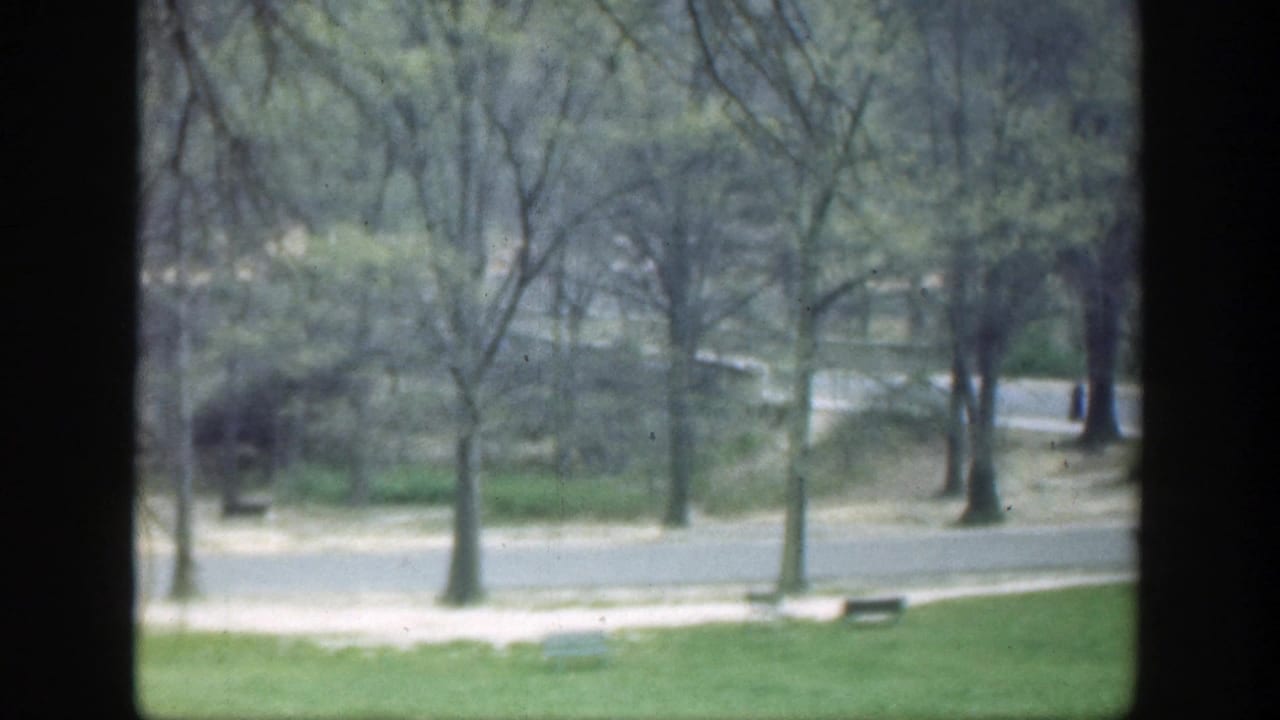 Park paths and trees seen through dark window divisions.