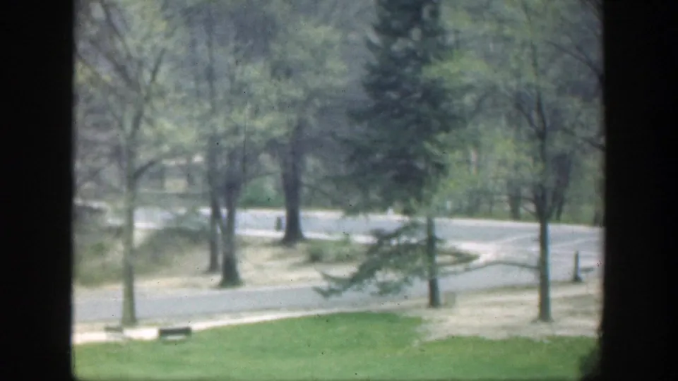 1949 Cincinnati park view showing a tree-lined paved curve, open grass, a bench, and evergreen foliage.