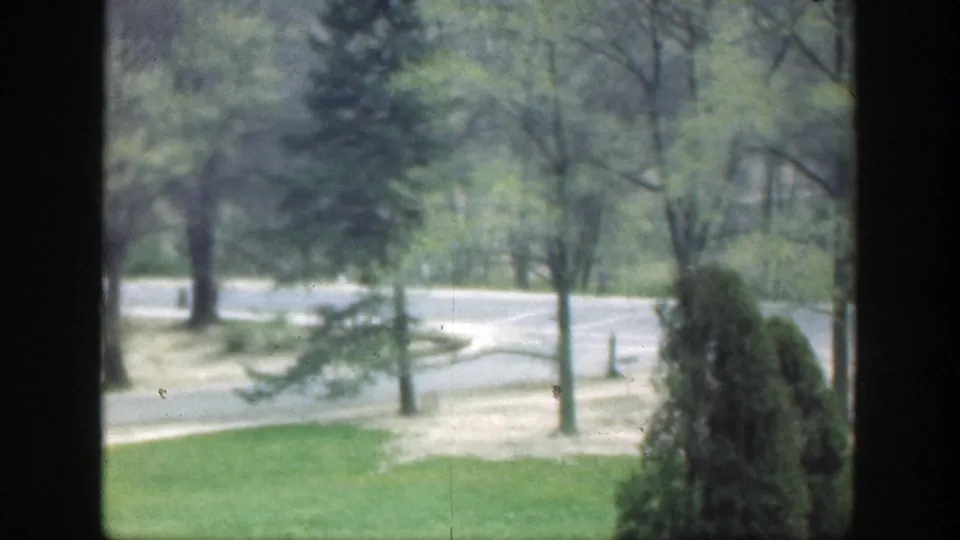 1949 Cincinnati park scene with a prominent evergreen, curved asphalt path, lawn, benches, and bare dark window edges.